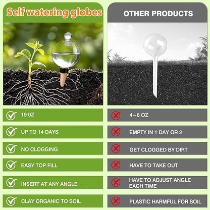 DI QIU REN 6 Pack 19oz Large Self Watering Globes, Automatic Plant Waterer with Glass Stopper - Slow Release Bulbs & Planter Insert, Top-Fill Water Spikes for Indoor Plants (6, Clear)