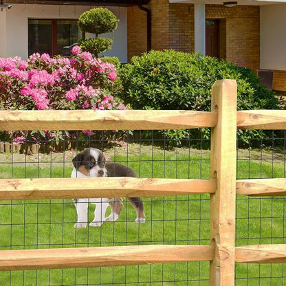 Black PVC Coated Welded Wire Fence 24 Inch x 25 Foot, 2 Inch x 3 Inch 16GA, Garden Border Fencing Roll Vinyl Coating Metal Wire Mesh for Yard Vegetable Plant Protection Poultry Netting