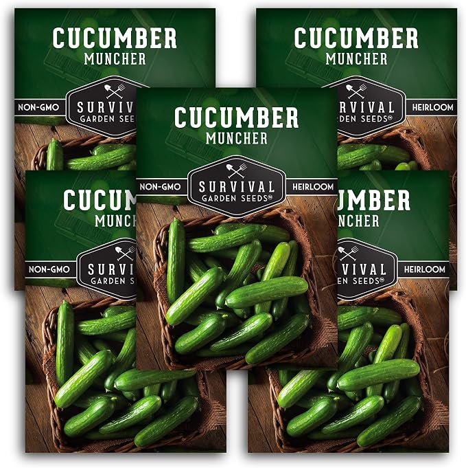Muncher Cucumber Seeds for Planting | Burpless Variety with Smooth Skin for Snacking or Slicing – Survival Garden Seeds (5 Packs)