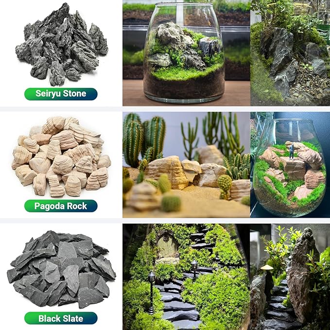 Natural Rocks Seiryu Stone 1-2 Inches Decorative Rocks for Fairy Gardens,Miniature Landscaping,Bonsai,DIY Crafts, Aquariums & Reptile Terrariums-2lb