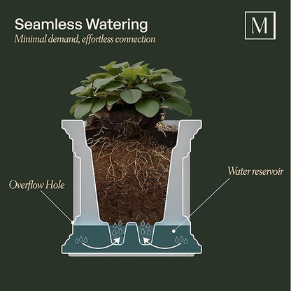 Mayne Fairfield 2ft Window Box, Self Watering Flower Box with Double Wall Design, All Season Fade Resistant Outdoor Window Planter with Steel Mounting Bracket, Graphite Grey