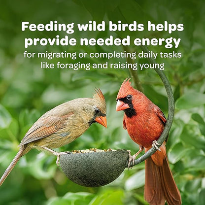 Kaytee Wild Bird Finch Food Blend, 5 lb (Pack of 2)