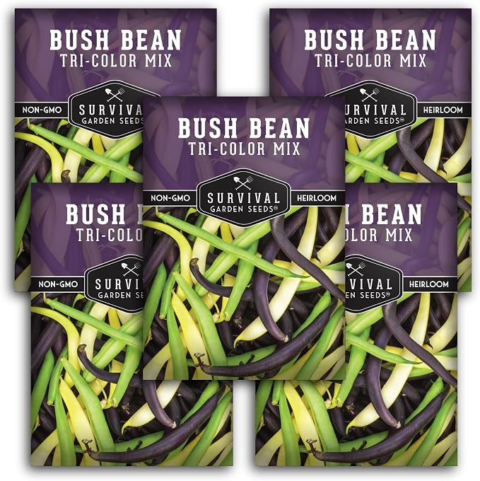 Tri Color Blend Bush Bean Seeds for Planting - Mix of Green, Yellow Wax, & Purple Beans with Stringless Pods - 3 Non-GMO Heirloom High Yield Varieties - Survival Garden Seeds (5 Packs)