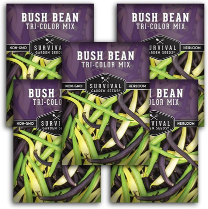 Tri Color Blend Bush Bean Seeds for Planting - Mix of Green, Yellow Wax, & Purple Beans with Stringless Pods - 3 Non-GMO Heirloom High Yield Varieties - Survival Garden Seeds (5 Packs)