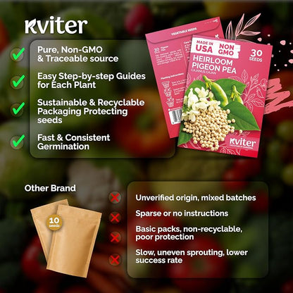 KVITER 30 Guandules Pigeon Peas Seeds for Planting (Cajanus Cajan) – a.k.a Gandules Goya, Gungo Peas, Congo Pea Non GMO – Heirloom Vegetable Seeds to Plant in Outdoor Garden & Trellises