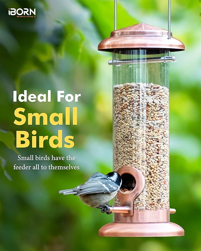 iBorn Metal Bird Feeder Hanging Wild Bird Feeders for Mix Seed Blends Heavy Duty All Metal Finishing, Copper Finish, 9 Inch 2 Port (Seed is not Included)