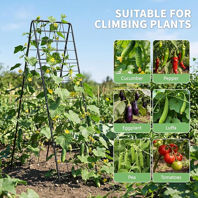 DoCred Cucumber Trellis, 71" H 2 Pack Metal Foldable Upgraded A Frame Garden Trellis for Raised Bed Climbing Plants, Vegetables, Including Plant Support Clips, Twist Ties, Plastic Ties, Black
