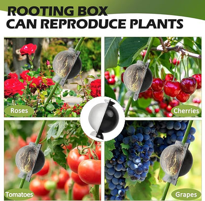 Tree Root Growing Box, Air Layering Pods Propagation Kit, Reusable Half Transparent Plants Asexual Reproduction Grafting Ball with Zip Ties for Fast Propagation Plants (12 pcs Medium)