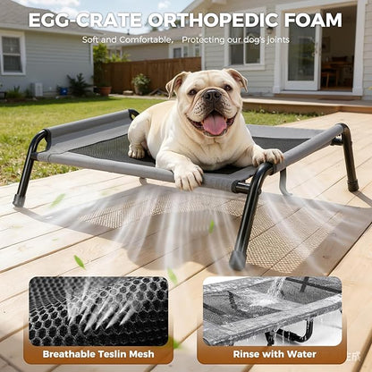 Lekereise Raised Outdoor Small Dog Bed Cot + Orthopedic Indoor Dog Sofa Bed, 2-in-1 Design,32 x 25 Inch Cooling Elevated Puppy Bed with Egg-Crate Orthopedic Foam Load 40lbs