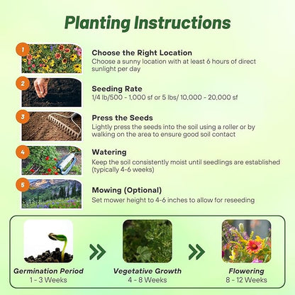 Outsidepride Mountain Wild Flower Seed Mix - 1 lb Premium Blend of Annual & Perennial Wildflower Seeds for High-Elevation in USDA Zones 3-8, Ideal for Mountain Gardens, Low-Maintenance & Easy to Grow