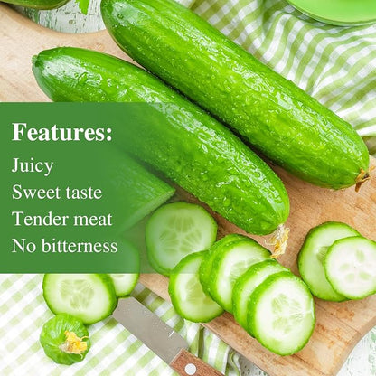 Groundio Cucumber Seeds - 50 Heirloom Non-GMO Seeds for Planting Outdoors in Trellises, Raised Beds, Space Gardens - Pickling and Slicing Straight Eight Cucumbers