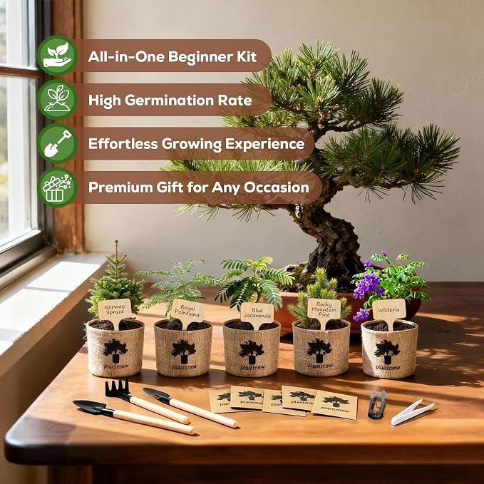 Christmas Gifts & Crafts for Adults - Bonsai Tree Starter Kit with 5 Unique Japanese Trees | Complete DIY Gardening Kit for Birthday | Gifts for Women, Men, Mom, Dad, Plant Lovers