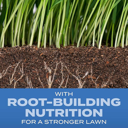 Scotts Turf Builder Grass Seed Sun and Shade Mix with Fertilizer and Soil Improver, Thrives in Many Conditions, 32 lbs.