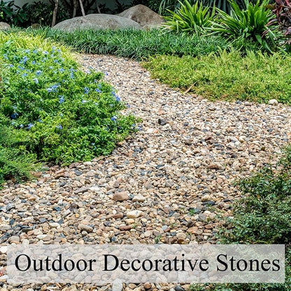 FANTIAN 5 lbs Gravel for Fish Tank, 2/5 Inch Mixed Color River Rocks for Aquarium, Vase Fillers, Cactus Bonsai, Plant Soil Cover and Outdoor Garden Landscaping Rocks