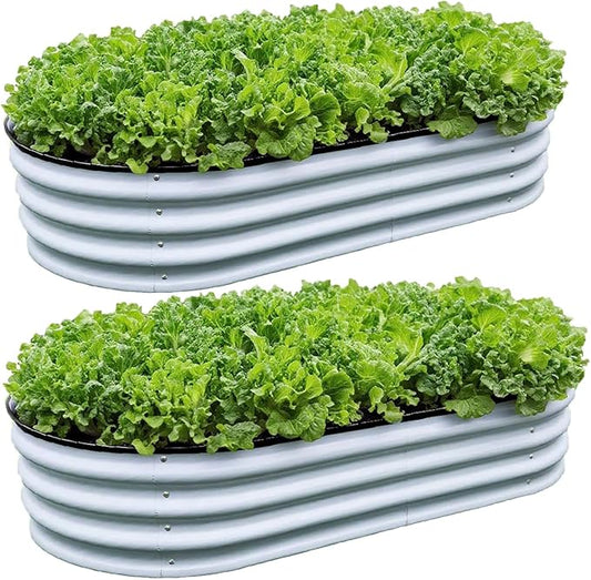 GrowHaus 2 Pack 4x2x1FT Galvanized Raised Garden Bed, Planter Boxes Outdoor Metal Garden Beds for Planting Vegetables Flowers Herbs Silver
