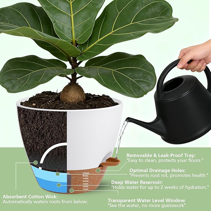Self Watering Planters Set with Water Level Indicator, 12" 10" 9" 8" Large Plastic Flower Pots with Mesh Drainage Hole and Removable Saucer Reservoir for Indoor Outdoor Plants (White)