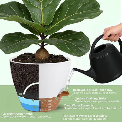 Self Watering Planters Set with Water Level Indicator, 12" 10" 9" 8" Large Plastic Flower Pots with Mesh Drainage Hole and Removable Saucer Reservoir for Indoor Outdoor Plants (White)