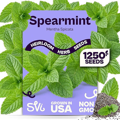 SVI 1250 Spearmint Seeds (Mentha spicata) – Mint Green Seed Packets, Aromatic Mint Leaves Fresh for Spearmint Tea, Natural Herbs – Heirloom Herb Seeds Indoor Herb Garden & Outdoor Garden, Containers