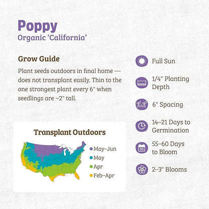 Back to The Roots 100% Organic Heirloom Seeds - Poppy Flower Value Pack (500mg Total)