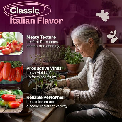 SVI 75 San Marzano Tomato Seeds (Solanum Lycoperscium) - San Marzano Tomatoes Seed Packets, Tomato Paste Seed, Plum Tomatoes Heirloom - Vegetable Seeds for Outdoor & Indoor Home Garden