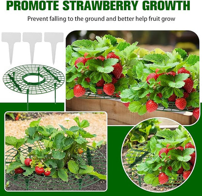 Irenare 24 Pack Strawberry Plant Support with Plant Labels Large Size Strawberry Growing Racks Growing Frame Stand Holder for Keeping Garden Strawberry Clean