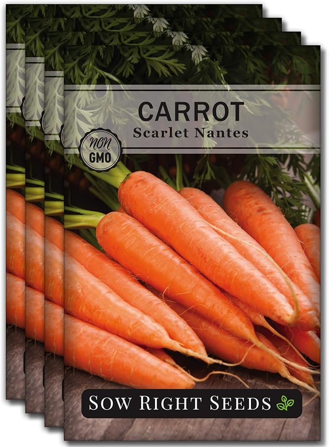Sow Right Seeds - Scarlet Nantes Carrot Seed for Planting - Non-GMO Heirloom Packet with Instructions to Plant a Home Vegetable Garden - Indoors or Outdoor - Sweet and Vibrant Variety (4)