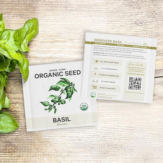 15 Certified Organic Herb Seeds Variety Pack (4X More) 10,000+ Non GMO Seeds for Planting Indoor Herb Garden or Outdoor Herb Garden Seeds for Planting | Including Basil, Rosemary & More