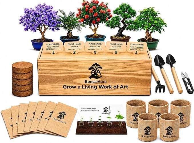 Bonsai Tree Starter Kit for Beginners - 5 Unique Japanese Bonzai Tree Seeds, Complete Indoor DIY Growing Kit, Perfect Gardening Gift for Adults, Men & Women