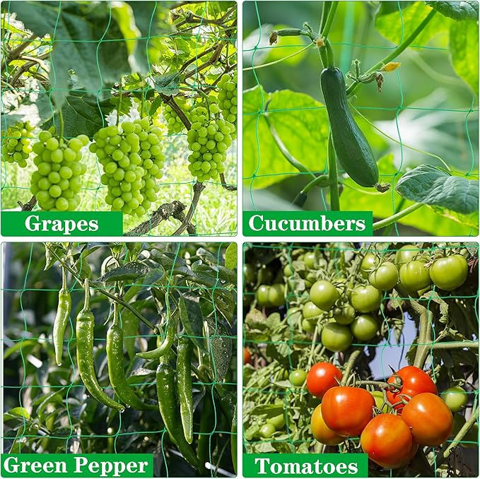 Garden Trellis Netting for Climbing Plants Outdoor Heavy Duty 27 Strands & 4x4 Inch Mesh Plant Climbing Net Strong Support for Clematis Tomatoes Cucumber Vine Plants（5.9x11.8FT）