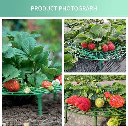 SooGree 5 Pack Strawberry Supports, Strawberry Holder Cradles for Garden, Fruit Plant Cage Plastic Tray Keep Strawberries Off Rot and Dirt