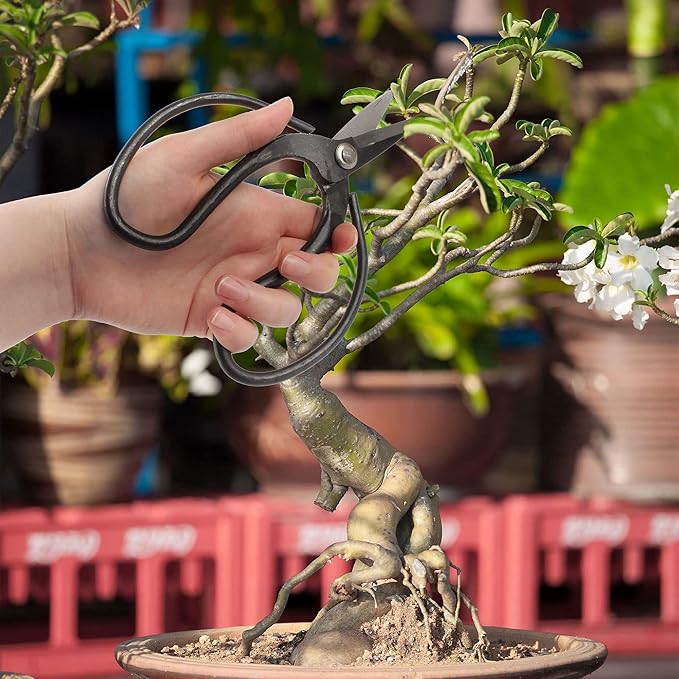 BambooMN Bonsai Basics Set - 7.2" Trimming Shears & 7" Heavy Duty Butterfly Shear - 10 Sets