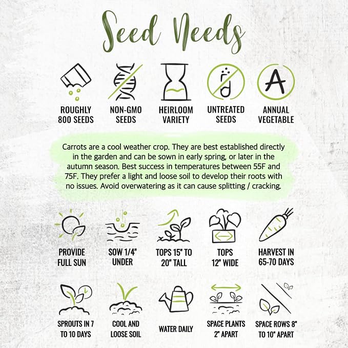 Seed Needs Rainbow Mixed Carrot Seeds to Plant Heirloom & Non-GMO 5 Packs