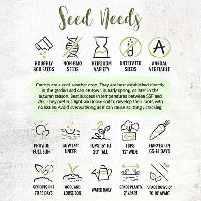 Seed Needs Rainbow Mixed Carrot Seeds to Plant Heirloom & Non-GMO 5 Packs