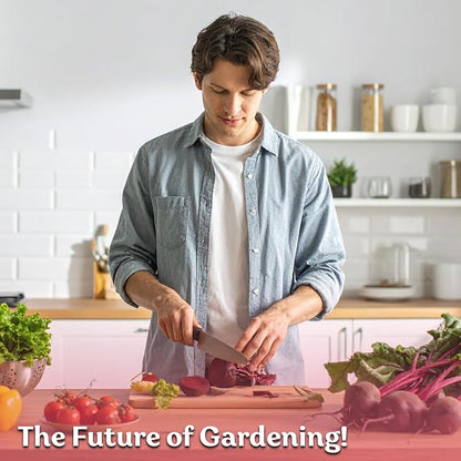 KVITER 600 Detroit Dark Red Beet Seeds (Beta vulgaris) - Known As Beet Root, Tender & Sweet 2-3" Red Beets - Non Gmo & Heirloom Vegetable Seeds For Planting Outdoors in Garden, Raised Beds, Containers