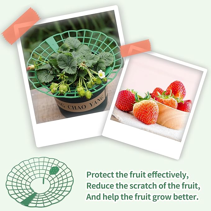 5 Packs Strawberry Supports - Reusable Strawberry Plant Stand Waterproof Growing Frame Plastic Fruit Tray Protectors Sturdy Strawberry Growing Racks to Keep Strawberries Off Mold, Rot and Dirt