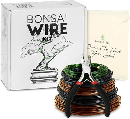 Leaves and Soul Complete Bonsai Kit – Green Oval Ceramic Pot with Soil, Fertilizer, 160ft Training Wire, Cutter & Storage Bag | DIY Bonsai Repotting Starter Kit for Tree Growing