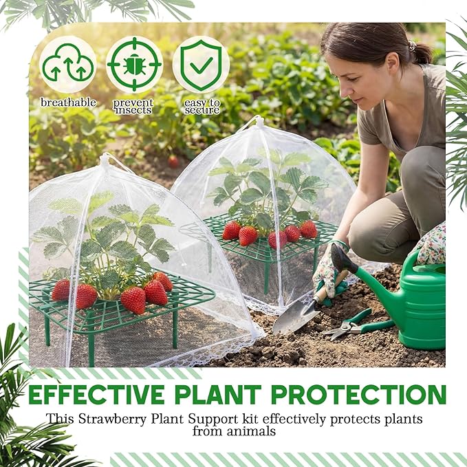 1 Sets Square Strawberry Plant Support with Mesh Plant Cover, Strawberry Growing Kit with Iron Nails for Garden Vegetables Keep Berries Clean