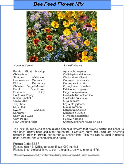Bulk Wildflower Seed Mix – Honey Bee Wildflower Seed Mix 1 Pound Tub by GevaGrow | Bulk 300,000+ Seed Tub | 19 Variety Flower Seeds for Planting in Pots & Outdoor Gardens | No Messy Bags or Packets |