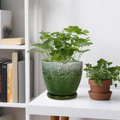 Ceraimc Plant Pot - 6.3 Inch Planter with Drainage and Plant Tray, Round Succulent Planters, Decorative Flower Pot for Indoor, Room Office Patio House Decor, Gifts for Women Men, Green