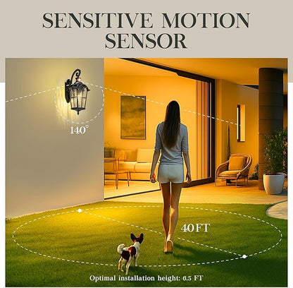 Emliviar 24" Motion Sensor Outdoor Light Fixtures Wall Mount, Aluminum Exterior Porch Light in Black Finish with Gold Edges, Outside Wall Light with Water Glass, WE305BL-SE BG-SW