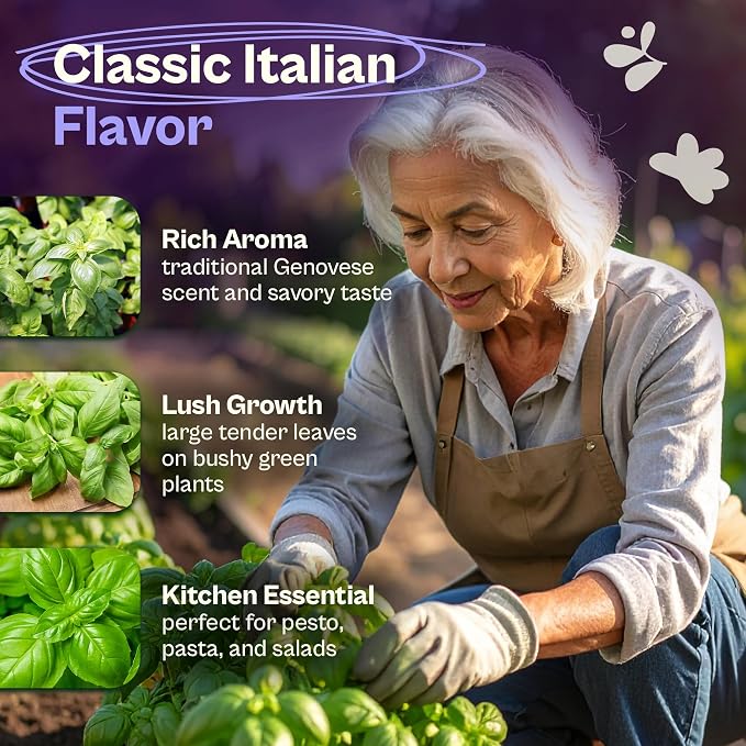 SVI 1750 Italian Basil Seeds (Ocimum basilicum) – Large Leaf Sweet Genovese Basil Seed Packets –Non GMO Italian Herbs, Heirloom Herb Seeds for Outdoor & Indoor Herb Garden, Containers