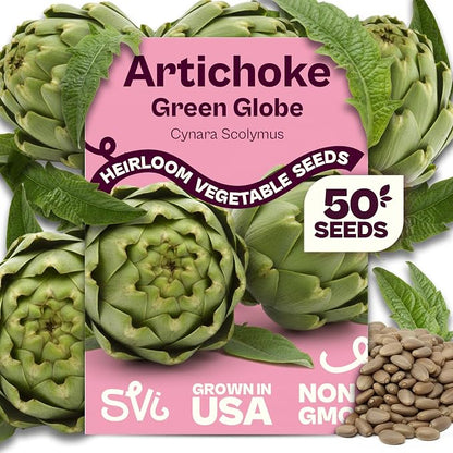 SVI 50 Green Globe Artichoke Seeds (Cynara scolymus) – Globe Artichoke Seed Packets, Artichokes Garden Seed Perennial – Heirloom Vegetable Seeds for Outdoor Garden Raised Beds, Containers