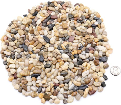 Rocks for Plants. Mixed Color Decorative Pebbles. 1/5 Inch 2 lbs. for Garden, Landscaping, Indoor, Vase fillers, Crafting, Succulents, pots, Plants (Mini (0.2 Inch), Mixed Color, 2)