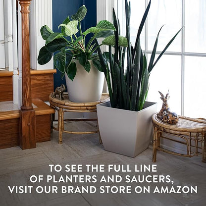The HC Companies Aria Round Self-Watering Pot - Lightweight Plastic Planter for Herbs & More - Durable Plant Pots for Indoor Plants & Outdoor Plants (6" Warm Gray, Pack of 1)