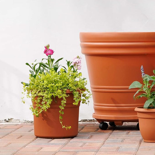 Bloem Posy 10" Terra Cotta Round Resin Planter Pot Indoor and Outdoor Gardening