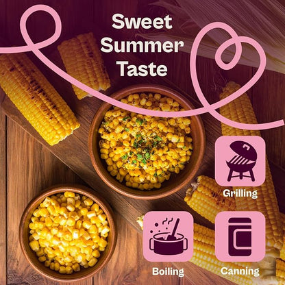SVI 100 Golden 8 Bantam Corn Seeds (Zea mays) – Yellow Sweet Corn Seed Packets, Early Maturing Maiz – Non GMO Heirloom Vegetable Seeds for Outdoors, Vegetable Garden Rows