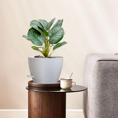 12/10/9 inch Large Self Watering Pots, Plant Pots with Mesh Drainage Holes for Indoor Outdoor Garden Plants, Flower Pots with Removable Deep Reservoir, Set of 3 Plastic Planters, White