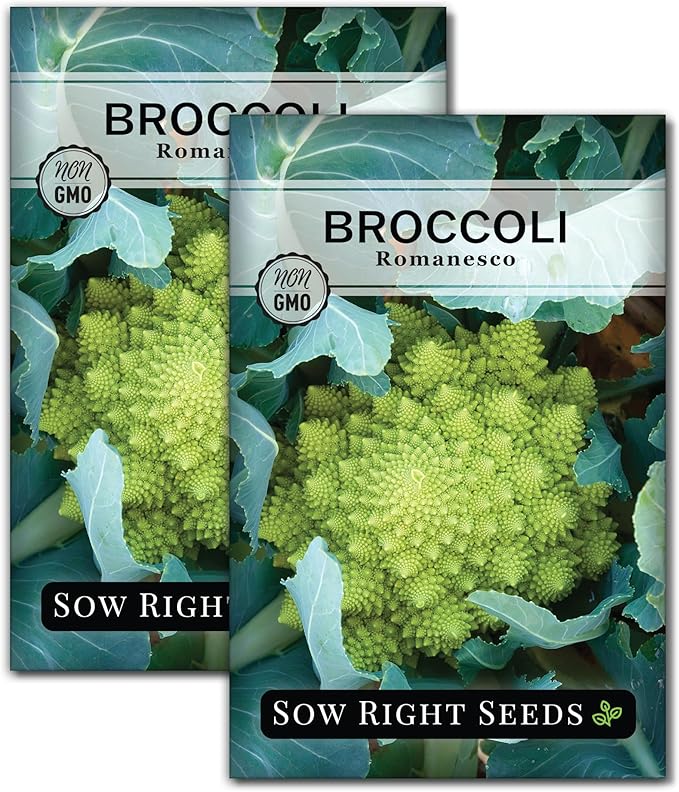 Sow Right Seeds - Romanesco Broccoli Seeds for Planting - Non-GMO Heirloom Packet with Instructions to Plant an Outdoor Home Vegetable Garden - Great for Salads - Abundant Harvest - Cold Hardy (2)
