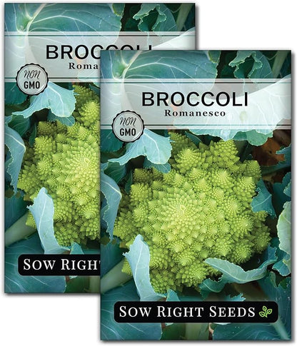 Sow Right Seeds - Romanesco Broccoli Seeds for Planting - Non-GMO Heirloom Packet with Instructions to Plant an Outdoor Home Vegetable Garden - Great for Salads - Abundant Harvest - Cold Hardy (2)