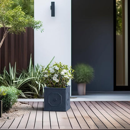 Kante Square Lion Head Concrete Planter, Classic English Style Plant Pot with Drainage Hole and Rubber Plug for Indoor Outdoor Garden Patio Home, 10.2"x10.2"x 10.2",Gravel Gray